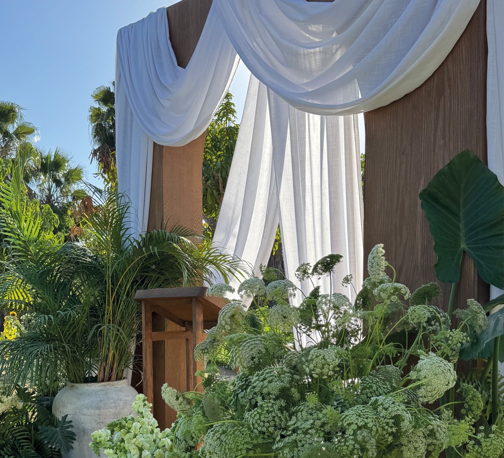 aboutus-image2b https://lynettedowevents.com/wp-content/uploads/2025/11/aboutus-image2b.jpg