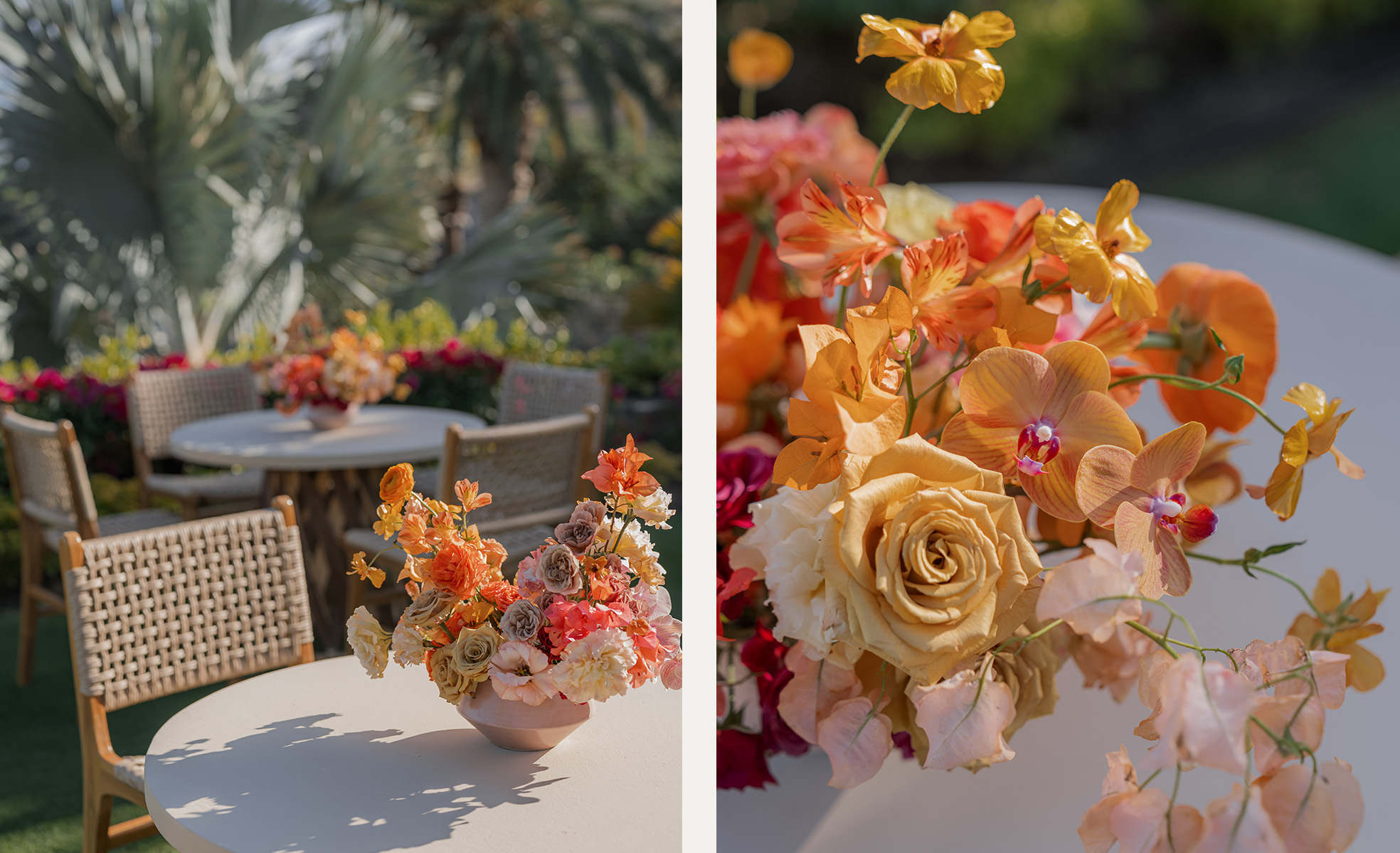 NyB-RD-image-7 https://lynettedowevents.com/wp-content/uploads/2026/01/NyB-RD-image-7.jpg