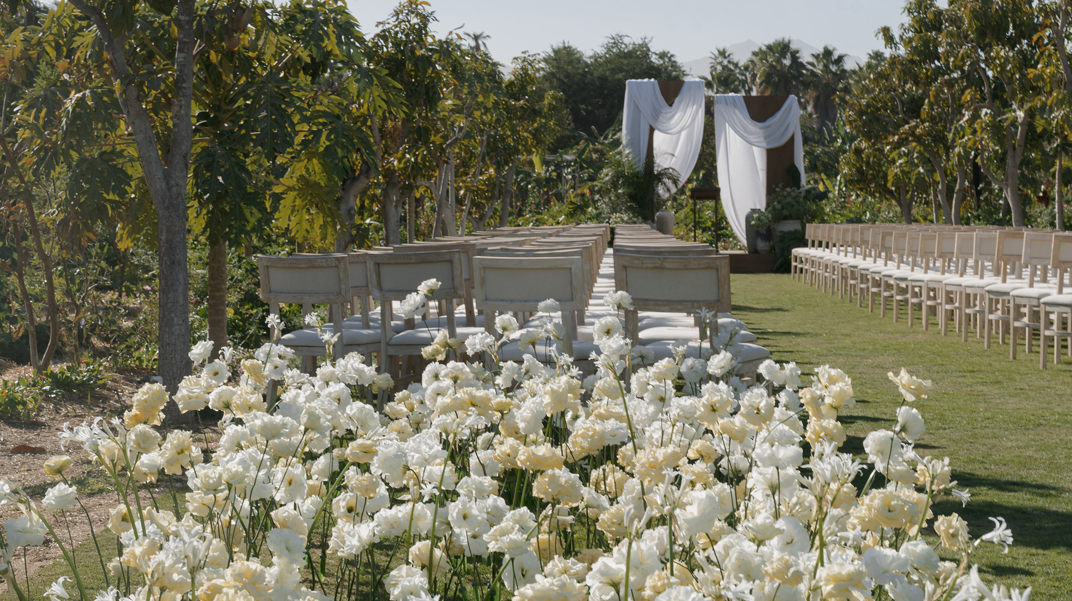 NyB-WD-image-2 https://lynettedowevents.com/wp-content/uploads/2026/01/NyB-WD-image-2.jpg