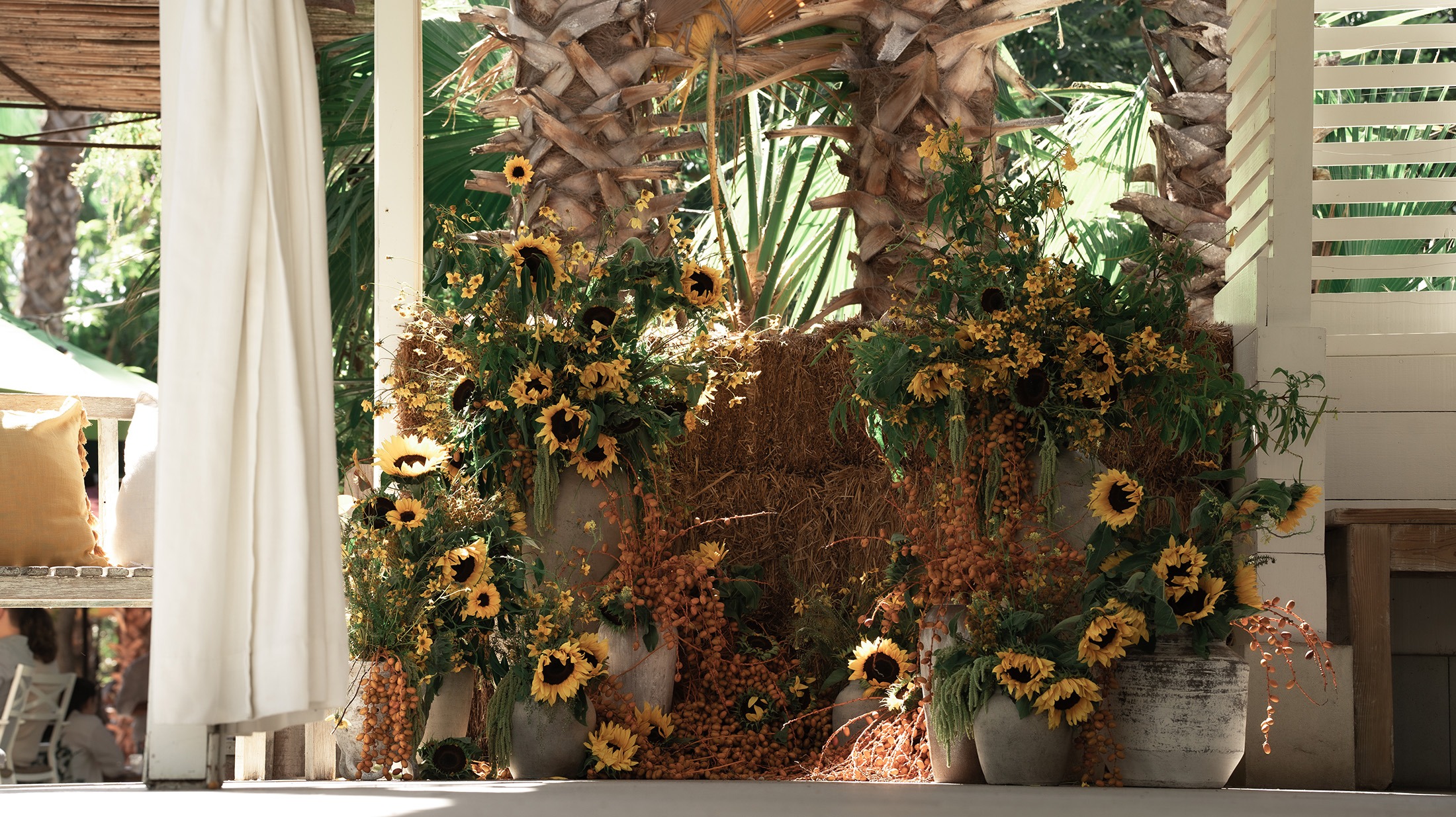 B-BP-image-16 https://lynettedowevents.com/wp-content/uploads/2026/02/B-BP-image-16.jpg