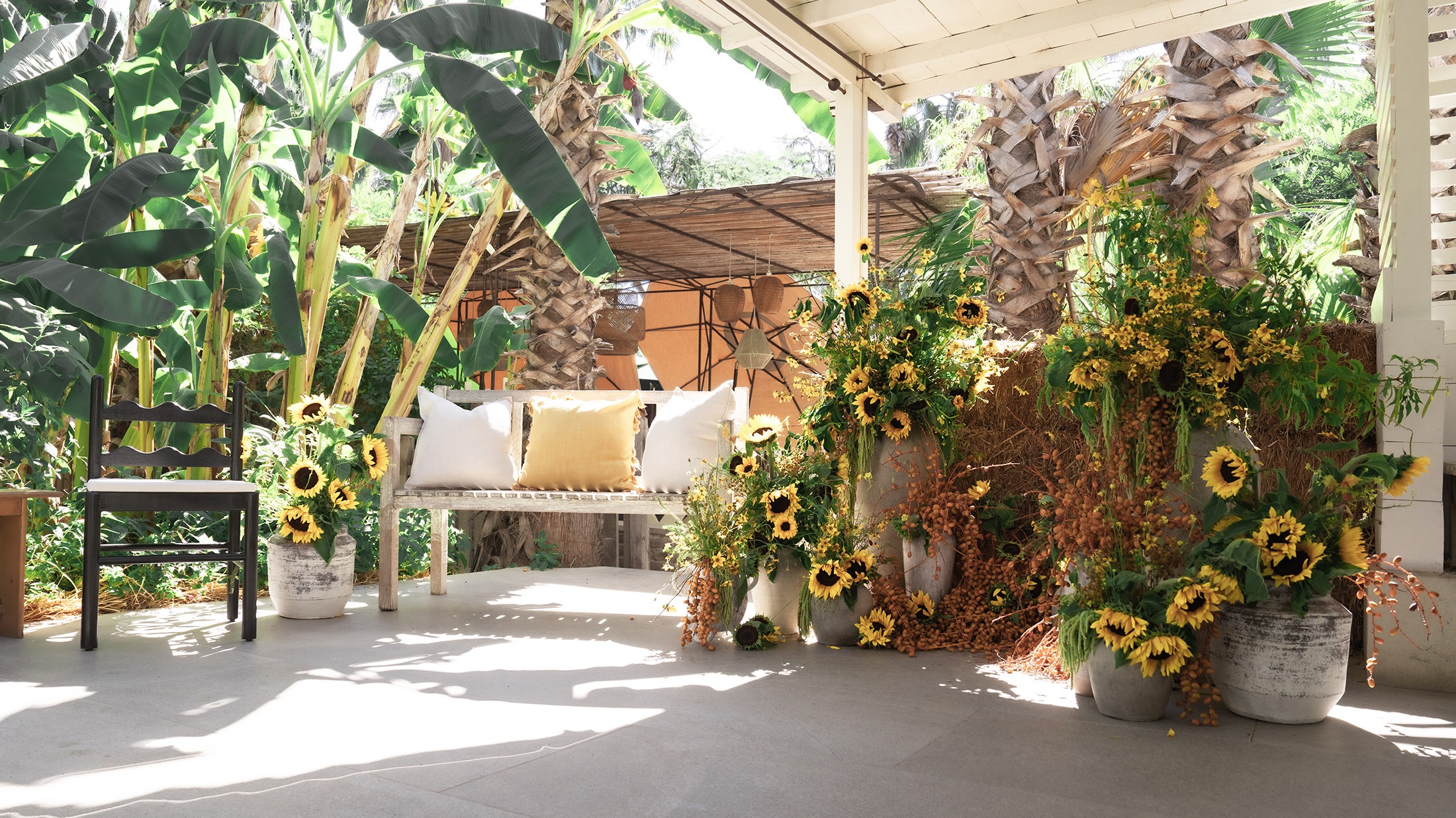 B-BP-image-18 https://lynettedowevents.com/wp-content/uploads/2026/02/B-BP-image-18.jpg